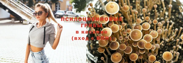 мяу мяу кристалл Алексин